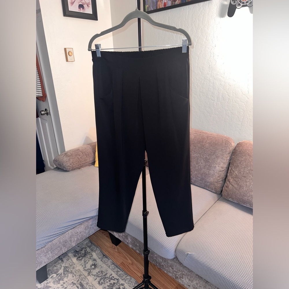 Badgley Mischka Black Pleated Pants